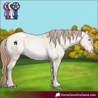 Horse Color:Brown Pearl Dun Tobiano Appaloosa 