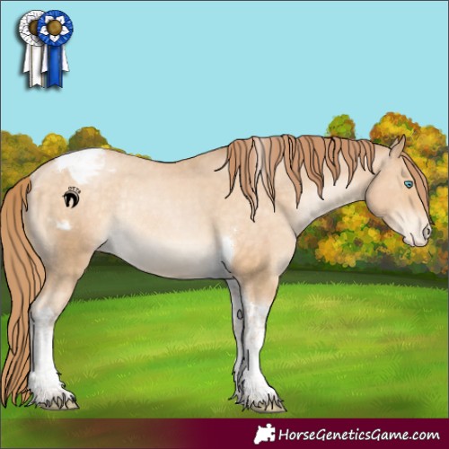 Horse Color:Buckskin Pearl Tobiano Appaloosa Rabicano 