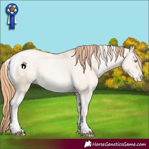Horse Color:Buckskin Pearl Dun Tobiano Appaloosa 