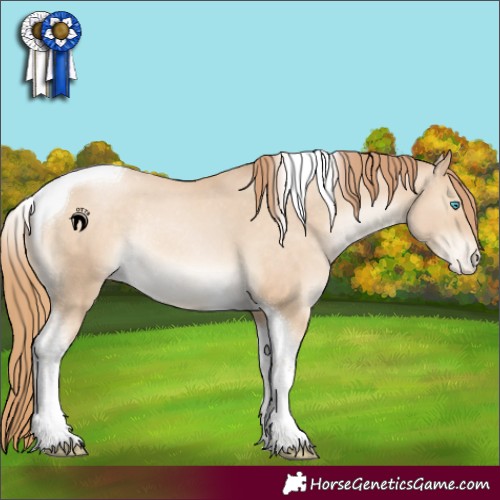Horse Color:Buckskin Pearl Tobiano Appaloosa Rabicano 