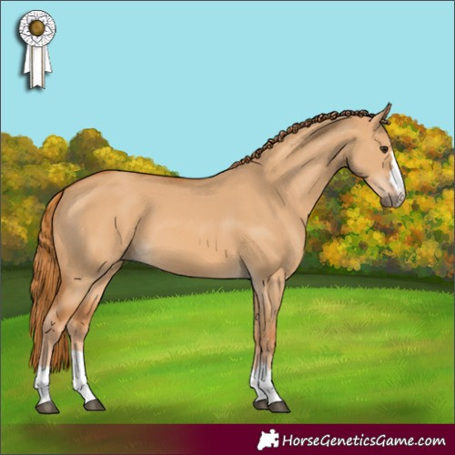 Horse Color:Red Dun 