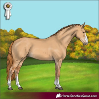 Horse Color:Red Dun 