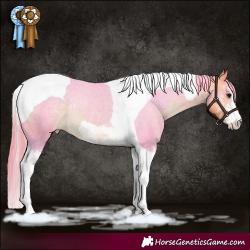 Horse Color:Watercolor Buckskin Sabino Tobiano Appaloosa Rabicano 