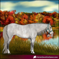 Horse Color:Silver Smoky Grullo Roan Sabino 