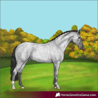 Horse Color:Blue Ice Roan 