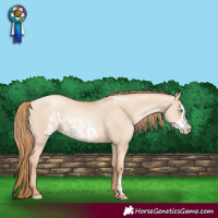 Horse Color:Gold Champagne Pearl Dun Rabicano  and Gold Champagne Pearl Dun Frame Rabicano 