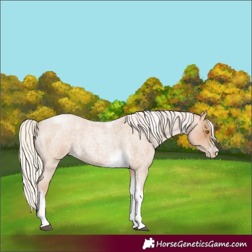 Horse Color:Silver Blue Roan Pearl Tobiano Frame