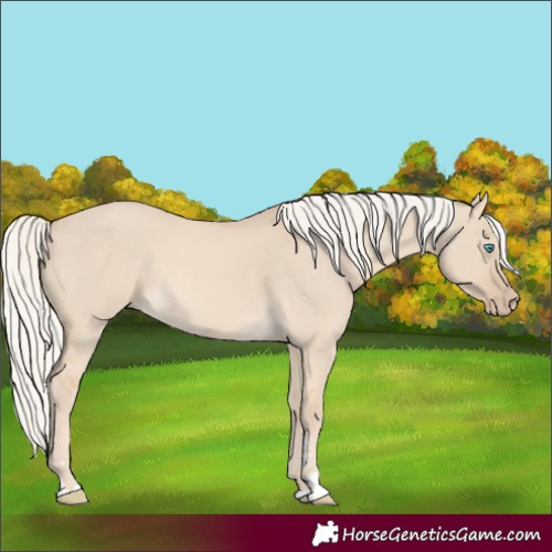 Horse Color:Cremello Dun 