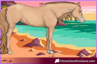 Horse Color:Gold Champagne Splash 