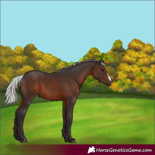 Horse Color:Silver Brown Mushroom 