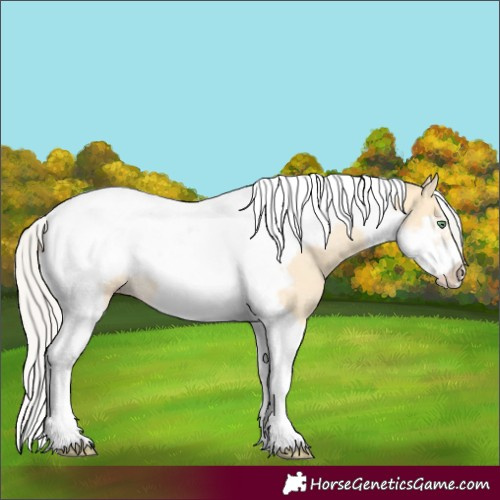Horse Color:Silver Amber Cream Champagne Tobiano Frame 