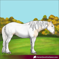 Horse Color:Silver Amber Cream Champagne Tobiano Frame 
