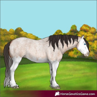 Horse Color:Bay Roan Dun Splash 