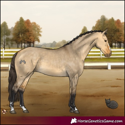Horse Color:Buckskin Dun 