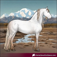 Horse Color:Gray Chestnut 