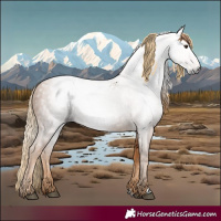 Horse Color:Gray Chestnut 