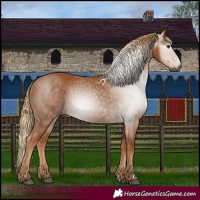 Horse Color:Gray Chestnut 