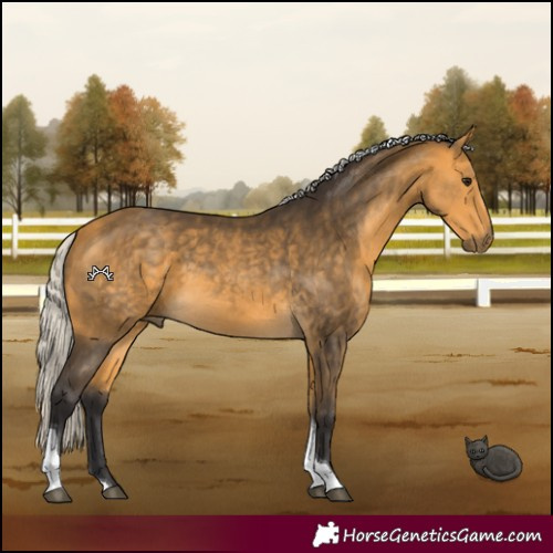 Horse Color:Silver Buckskin Tobiano 
