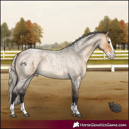 Horse Color:Silver Buckskin Roan Dun Splash 