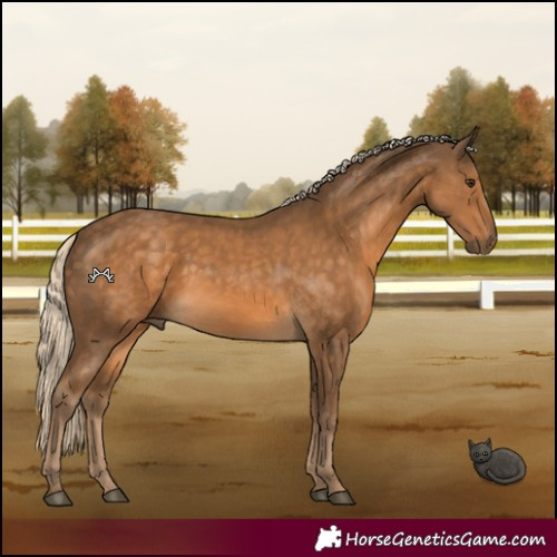 Horse Color:Chocolate Palomino 