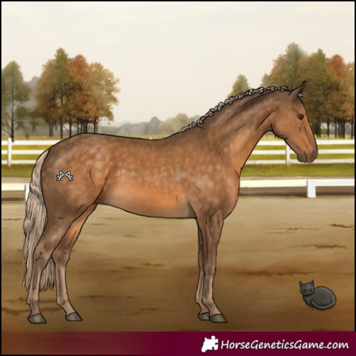 Horse Color:Chocolate Palomino 