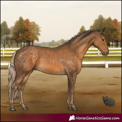 Horse Color:Chocolate Palomino 