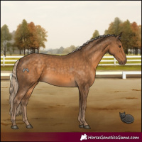 Horse Color:Chocolate Palomino 