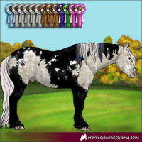 Horse Color:Watercolor Silver Grullo Ice Tobiano