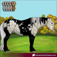 Horse Color:Watercolor Silver Grullo Ice Tobiano 