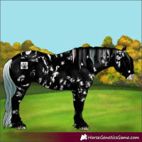 Horse Color:ERROR: UNKNOWN ANOMALY