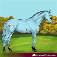 Horse Color:Watercolor Black Sabino 
