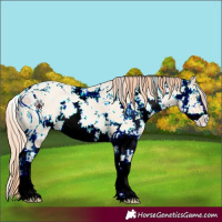 Horse Color:ERROR: UNKNOWN ANOMALY