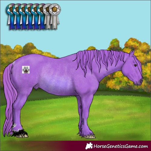Horse Color:Watercolor Chestnut Rabicano 