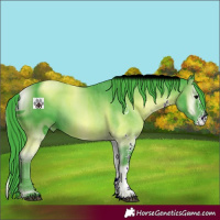 Horse Color:ERROR: UNKNOWN ANOMALY