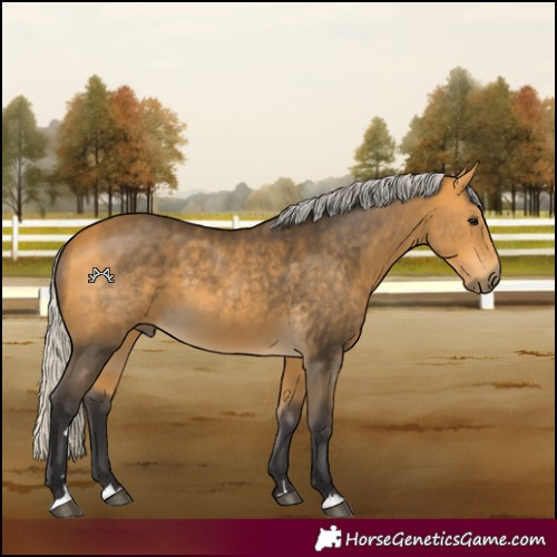 Horse Color:Silver Buckskin 