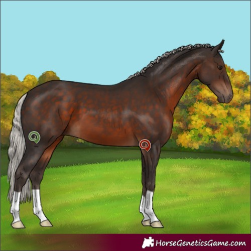 Horse Color:Silver Brown 