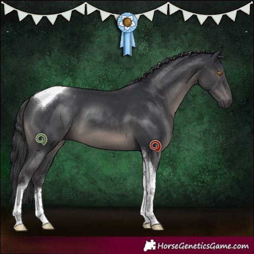 Horse Color:Black Tobiano 