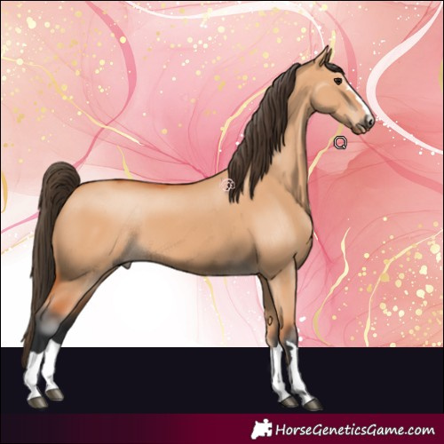 Horse Color:Bay Dun 