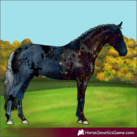 Horse Color:ERROR: UNKNOWN ANOMALY