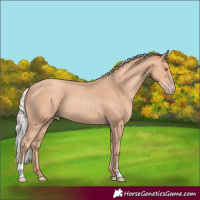 Horse Color:Silver Classic Champagne 
