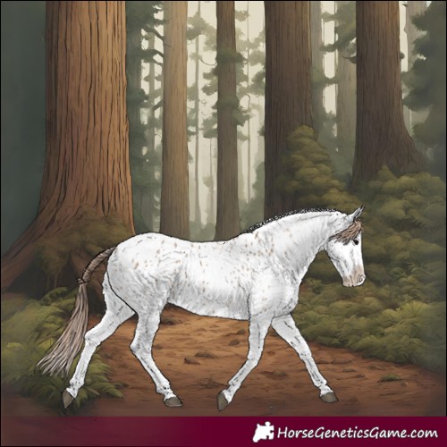 Horse Color:Bay Dun Sabino Blanket 