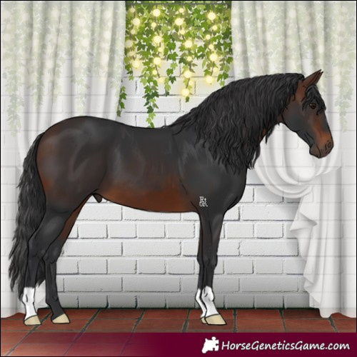 Horse Color:Brown 