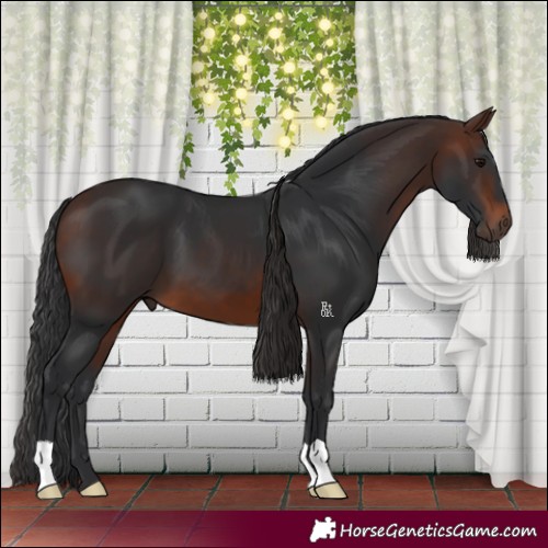 Horse Color:Brown 