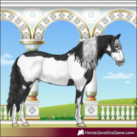 Horse Color:Black Frame 