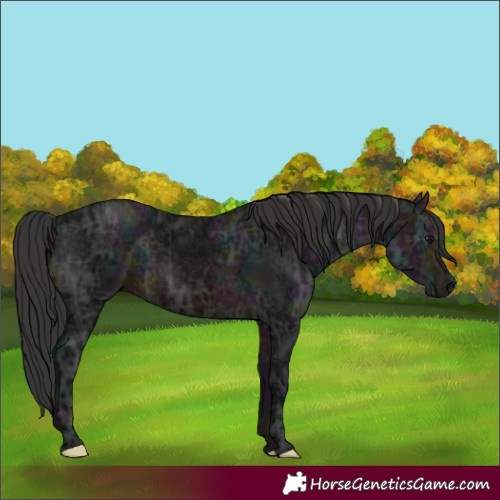Horse Color:Midnight Brown Ice 
