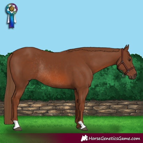 Horse Color:Chestnut Rabicano 