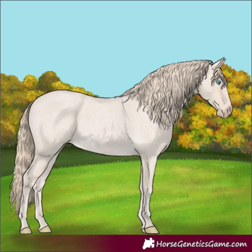 Horse Color:Smoky Creme Roan 