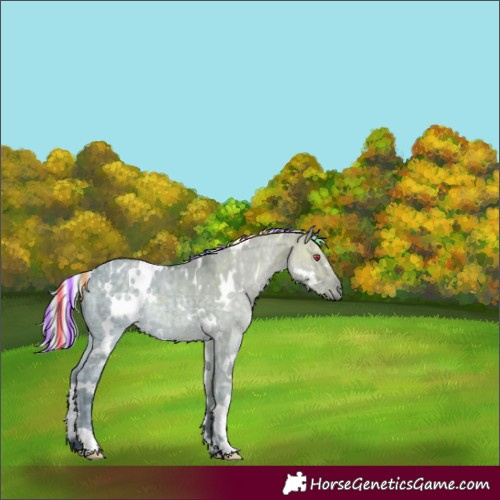Horse Color:Painted White Spotted Silver Grullo Chinchilla Ice 