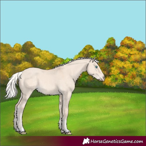 Horse Color:Silver Perlino Dun 