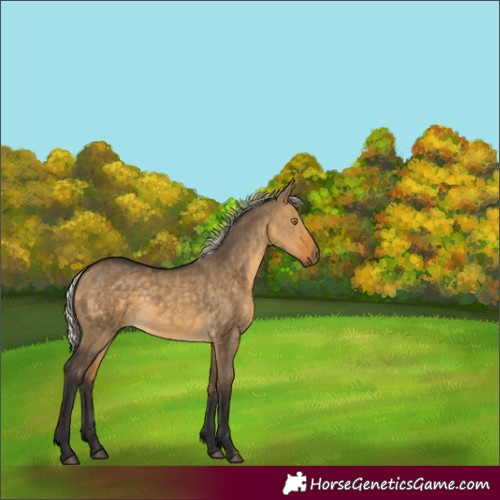Horse Color:Silver Buckskin Dun 